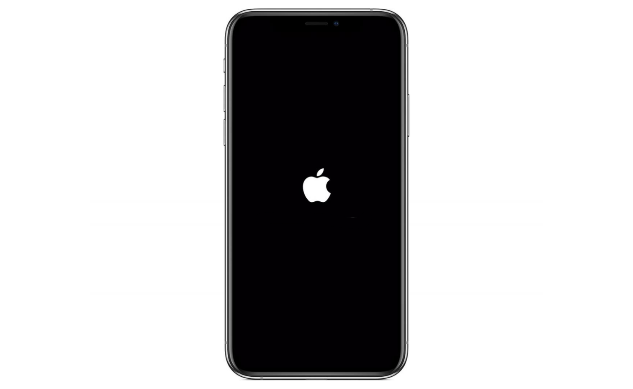 Schermata iPhone bloccato sulla mela?